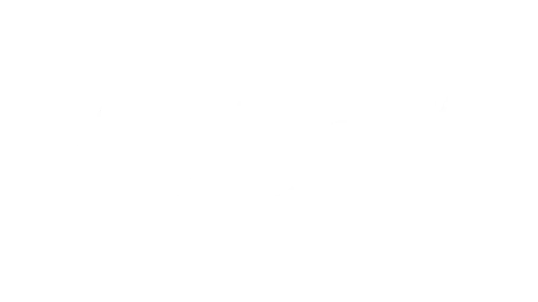 elonflow Live Channel Logo 4